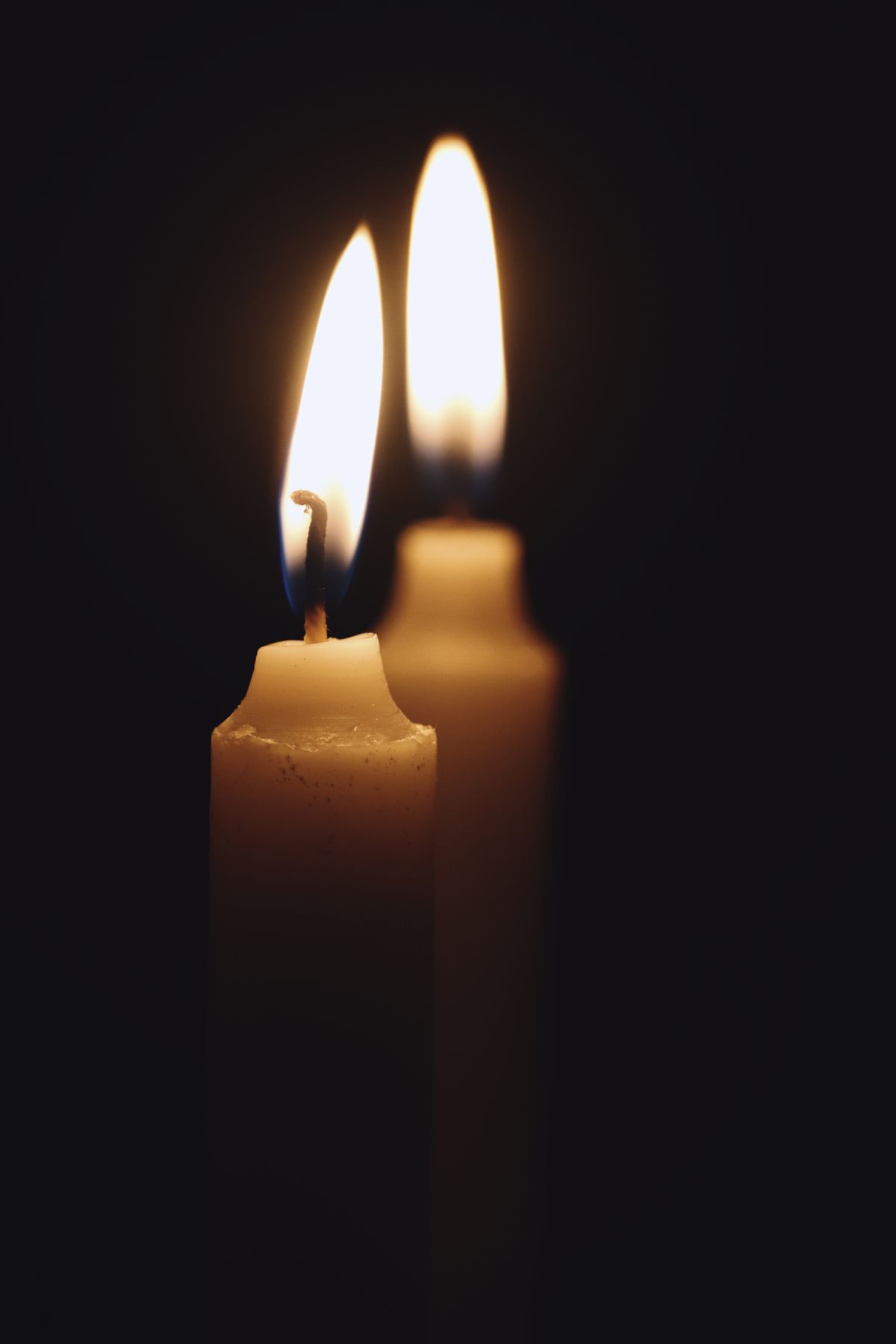 Set de velas Oasis